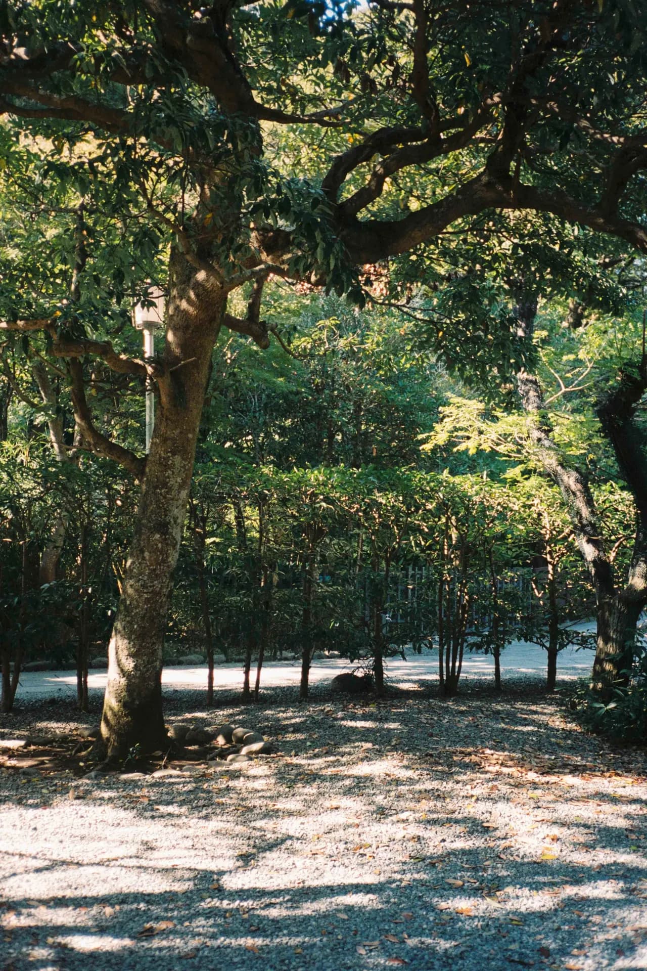 Kamakura, Japan 2024