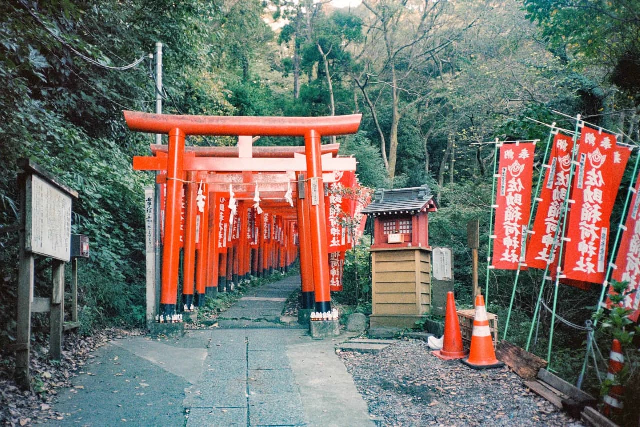 Kamakura, Japan 2024