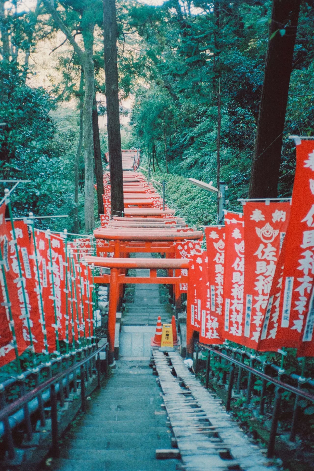 Kamakura, Japan 2024