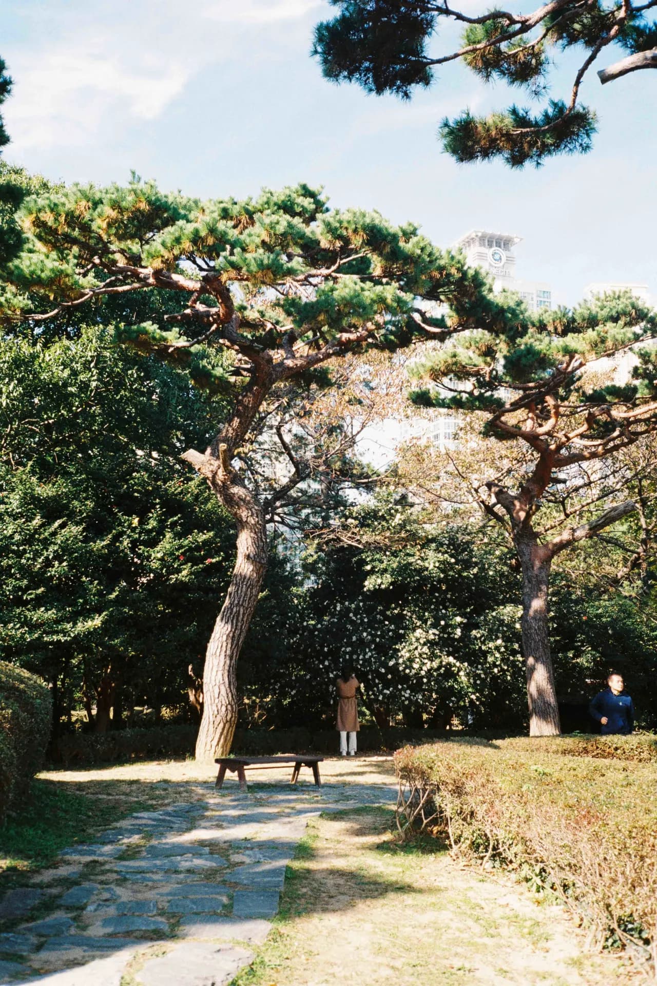 Busan, South Korea 2024