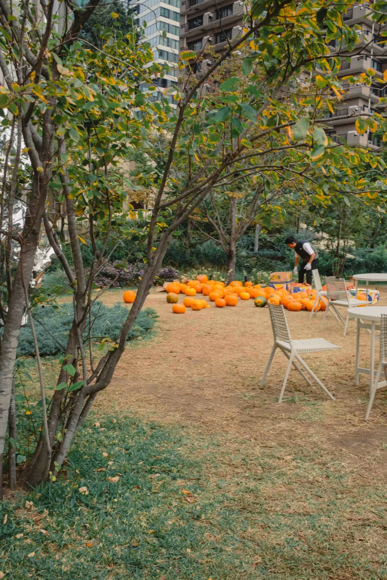 Roppongi Hills, Japan 2024