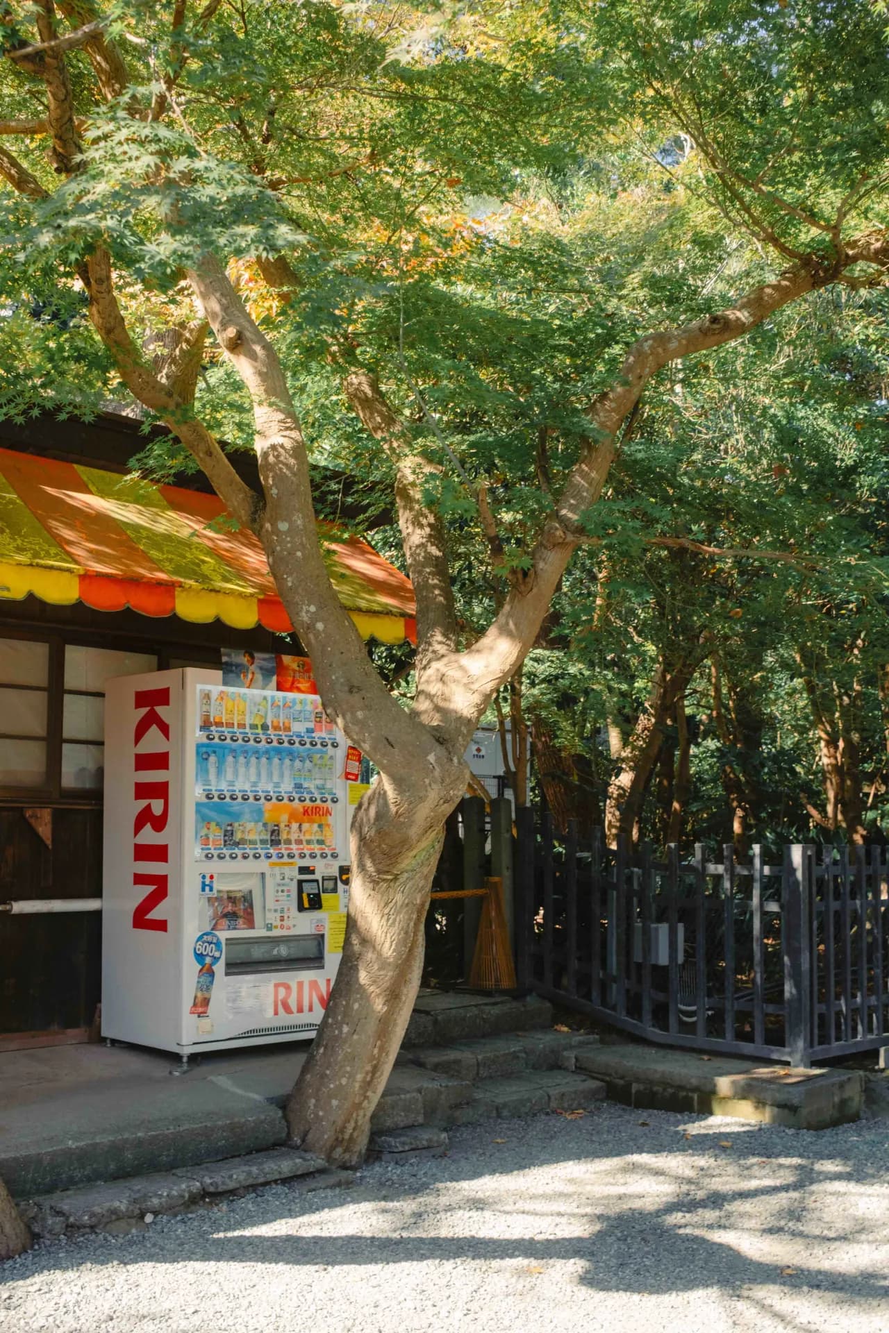 Kamakura, Japan 2024