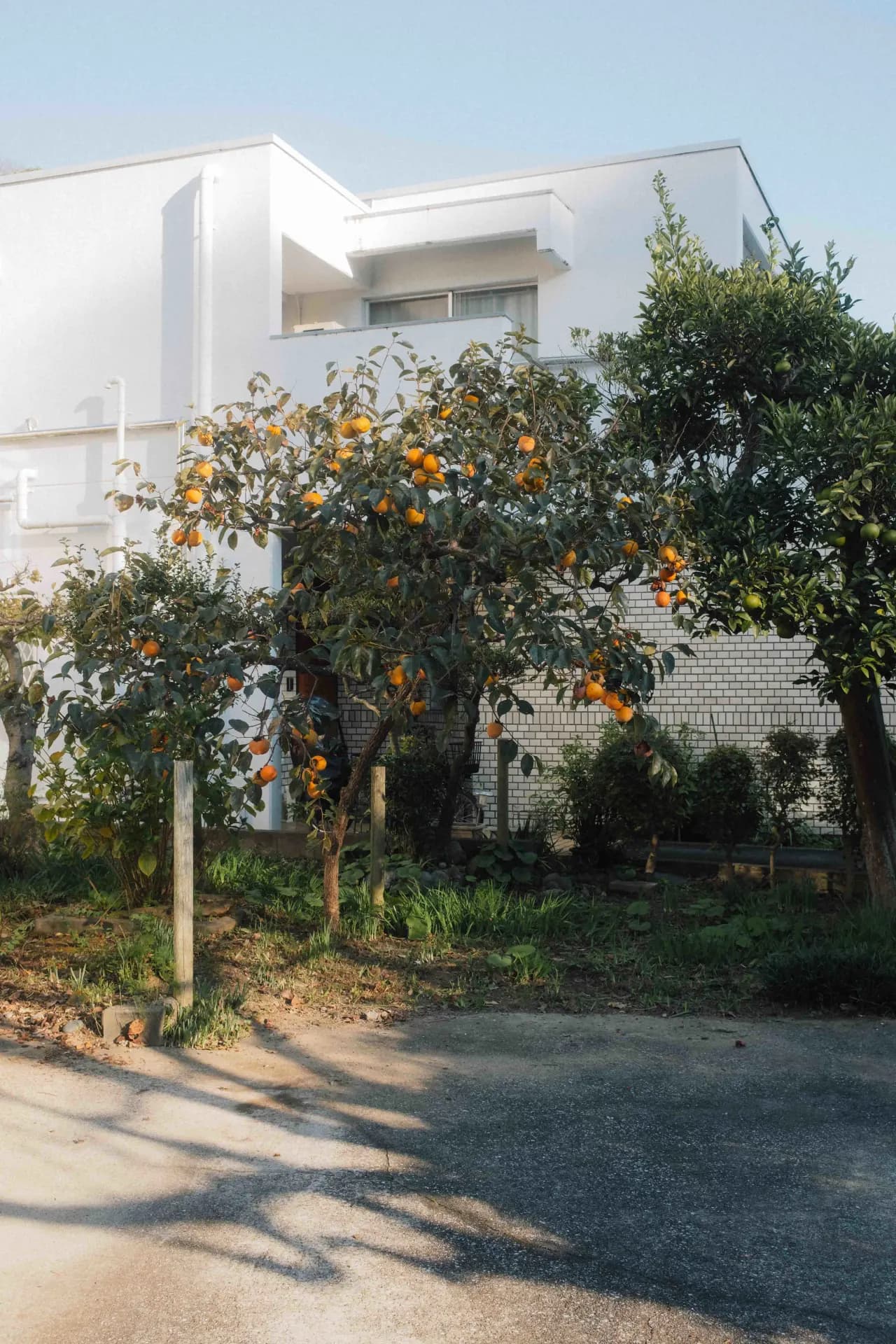 Kamakura, Japan 2024