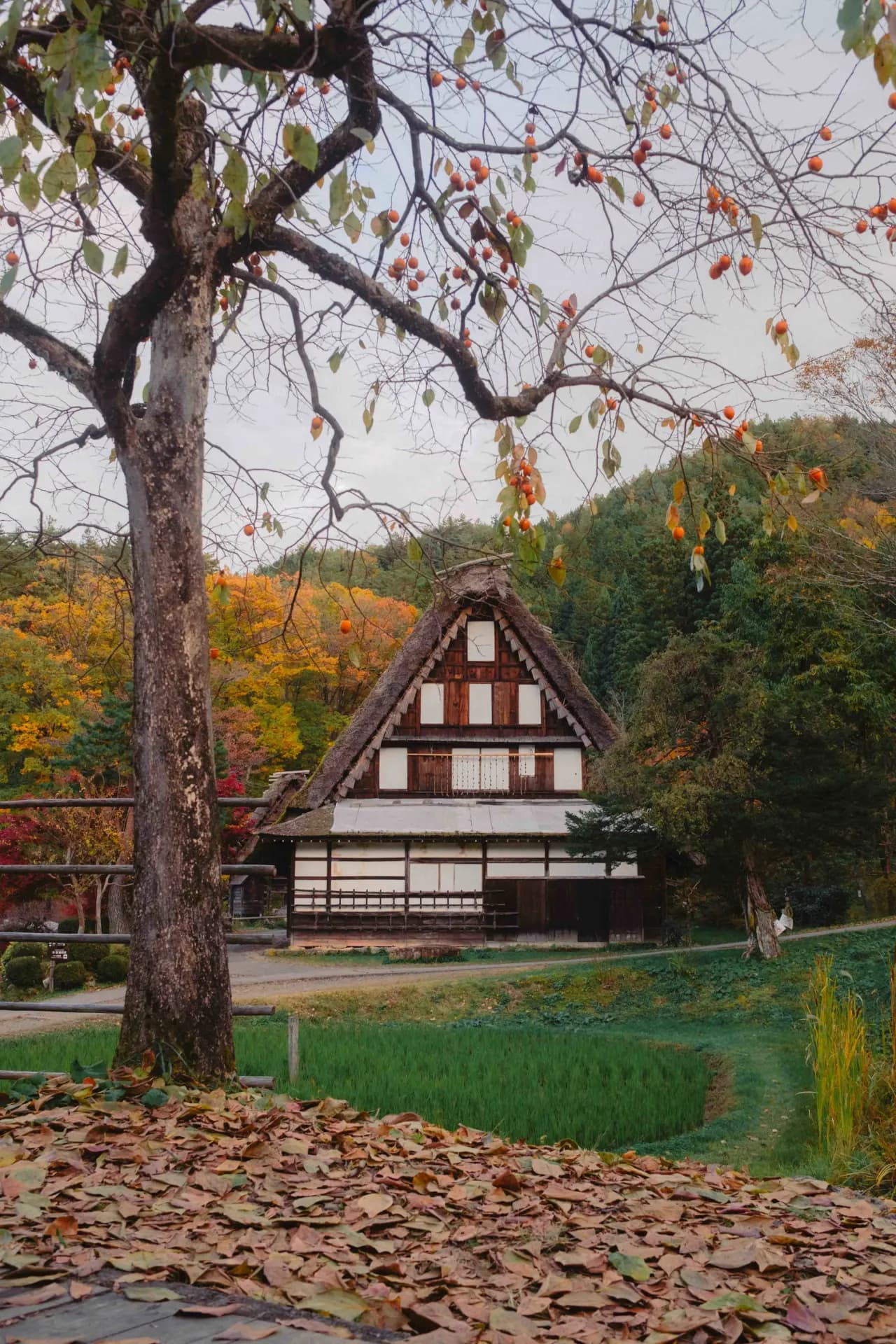 Takayama, Japan 2024