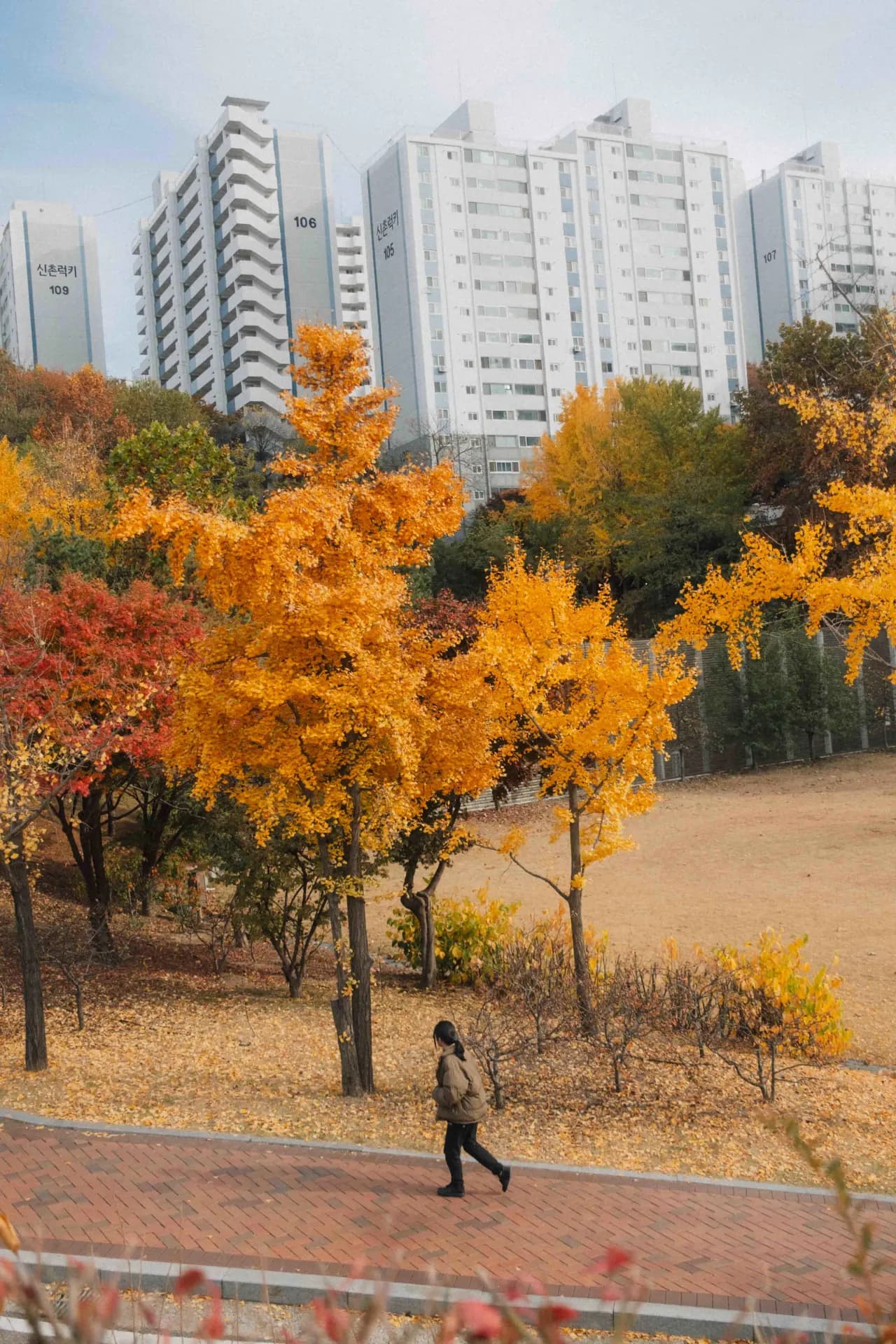 Seoul, South Korea 2024