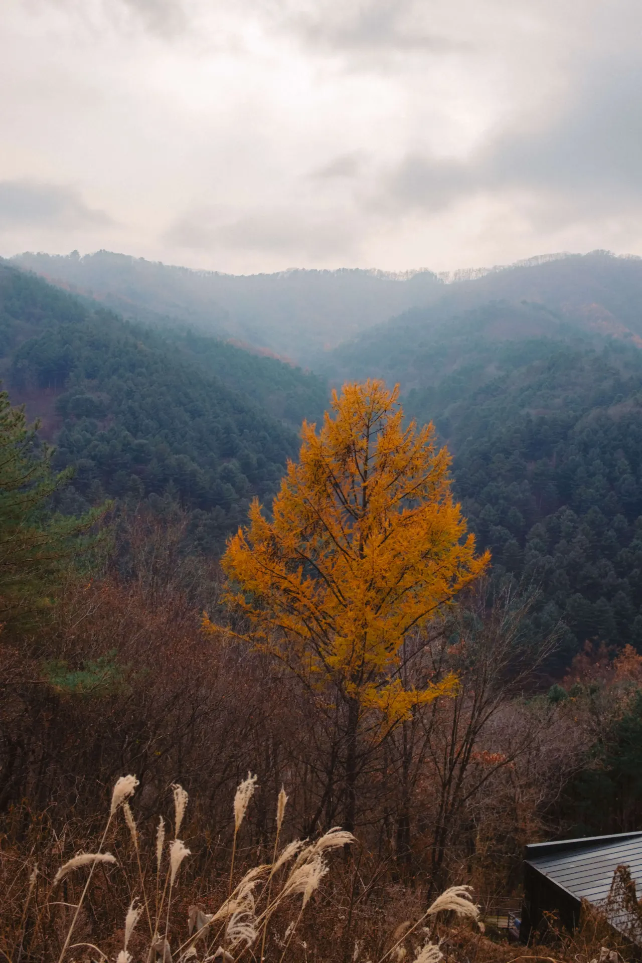 Seoul, South Korea 2024