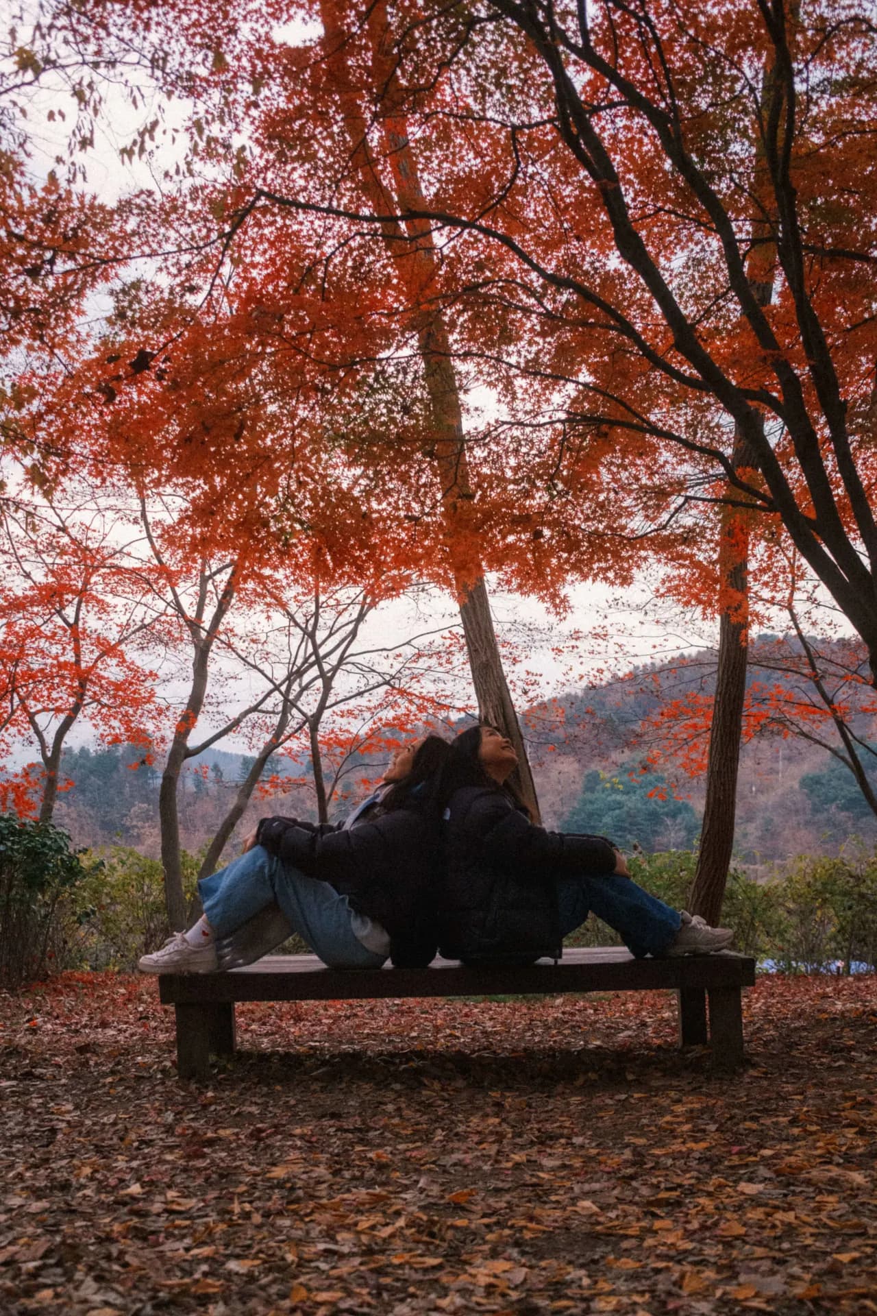 Nami Island, South Korea 2024